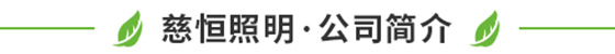 慈恒照明▪公司简介