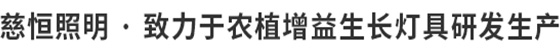 慈恒照明·研发生产